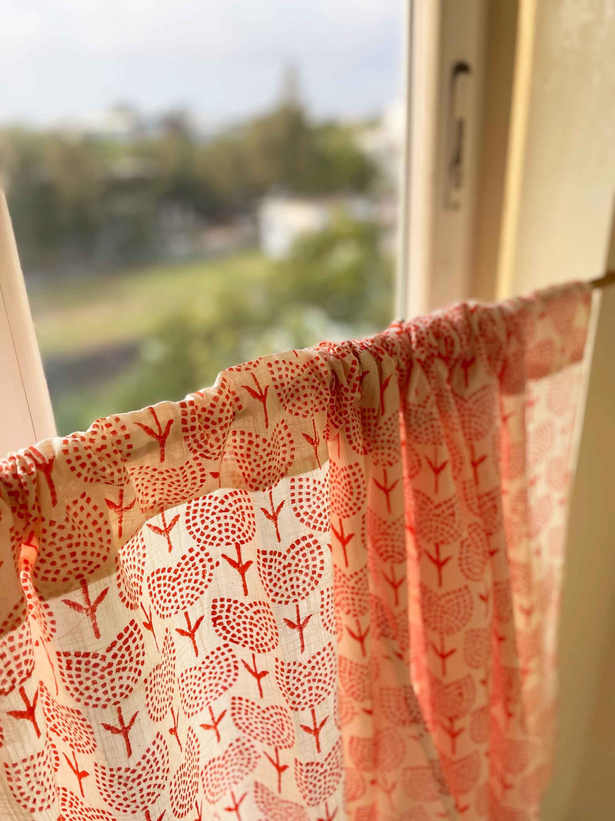 orange tulips beautiful cafe curtains